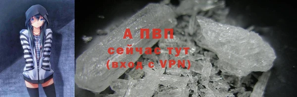 гидра Покров