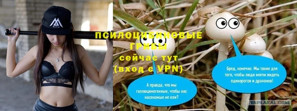 гидра Покров