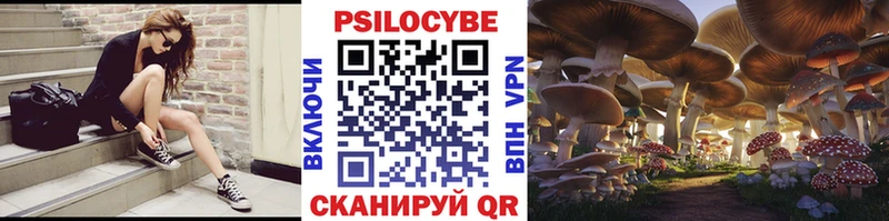 Псилоцибиновые грибы прущие грибы Багратионовск