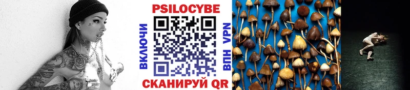 Галлюциногенные грибы Psilocybe  Багратионовск 